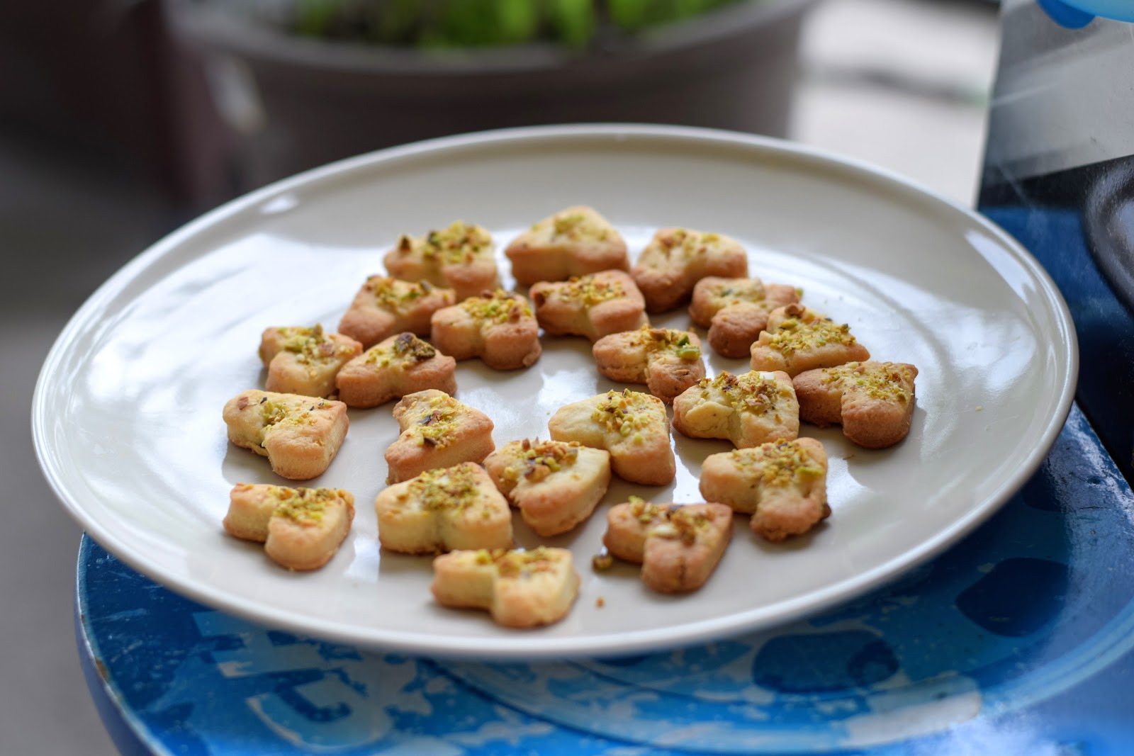 Sarita's Kitchen Blog: Mini eggless biscuits