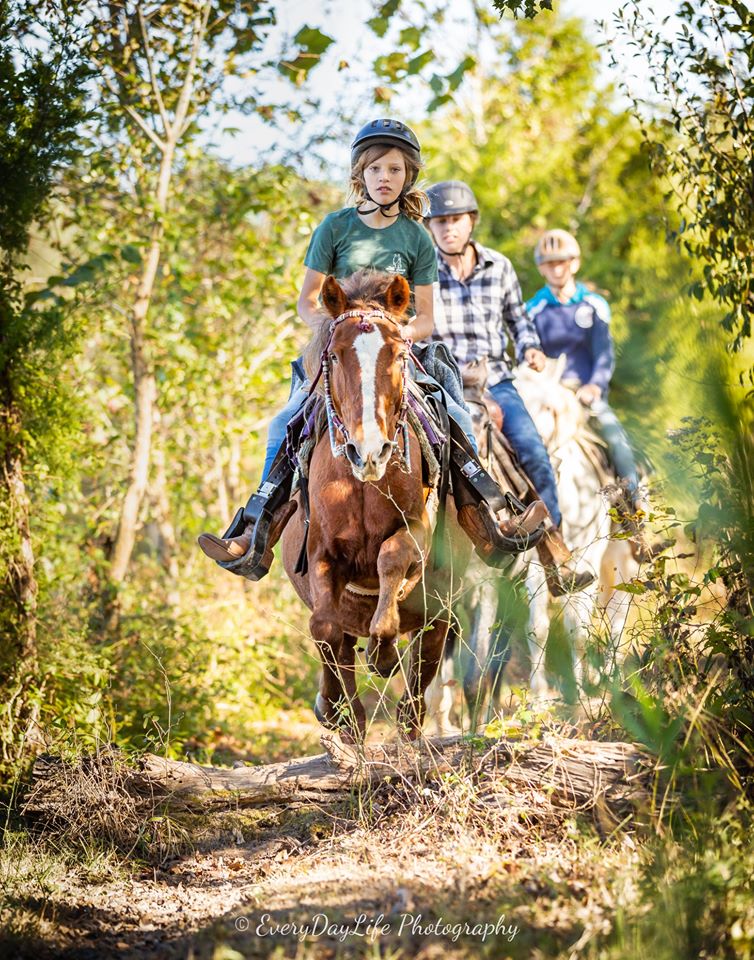Mill Swamp Indian Horse Views 2020 When The First Trumpet Sounds