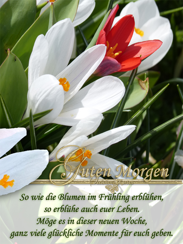 Schöne Bilder zum Wochenanfang: Zeichnen lernen und Freude schenken!