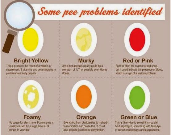 Kidney disorder Yellow Stool