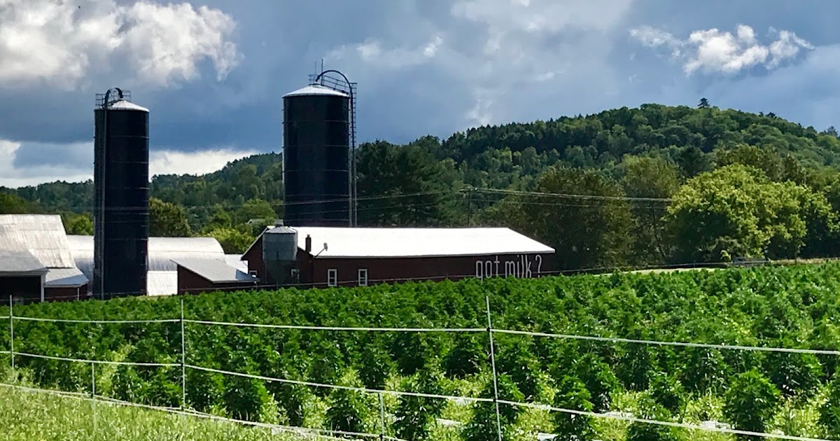 Waterford, Vermont, History Barns Crammed With History Digging Into a