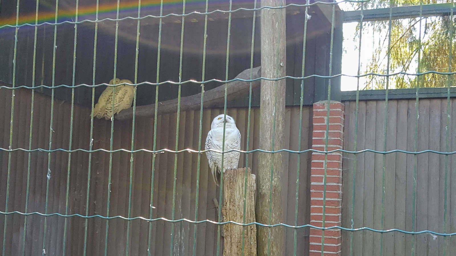 Osterfeuer Auf Der Halde Haniel