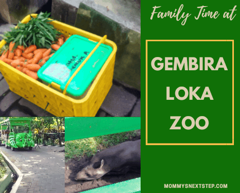 Family Time at Gembira Loka Zoo Jogja - Mommy's Next Step Motherhood in
