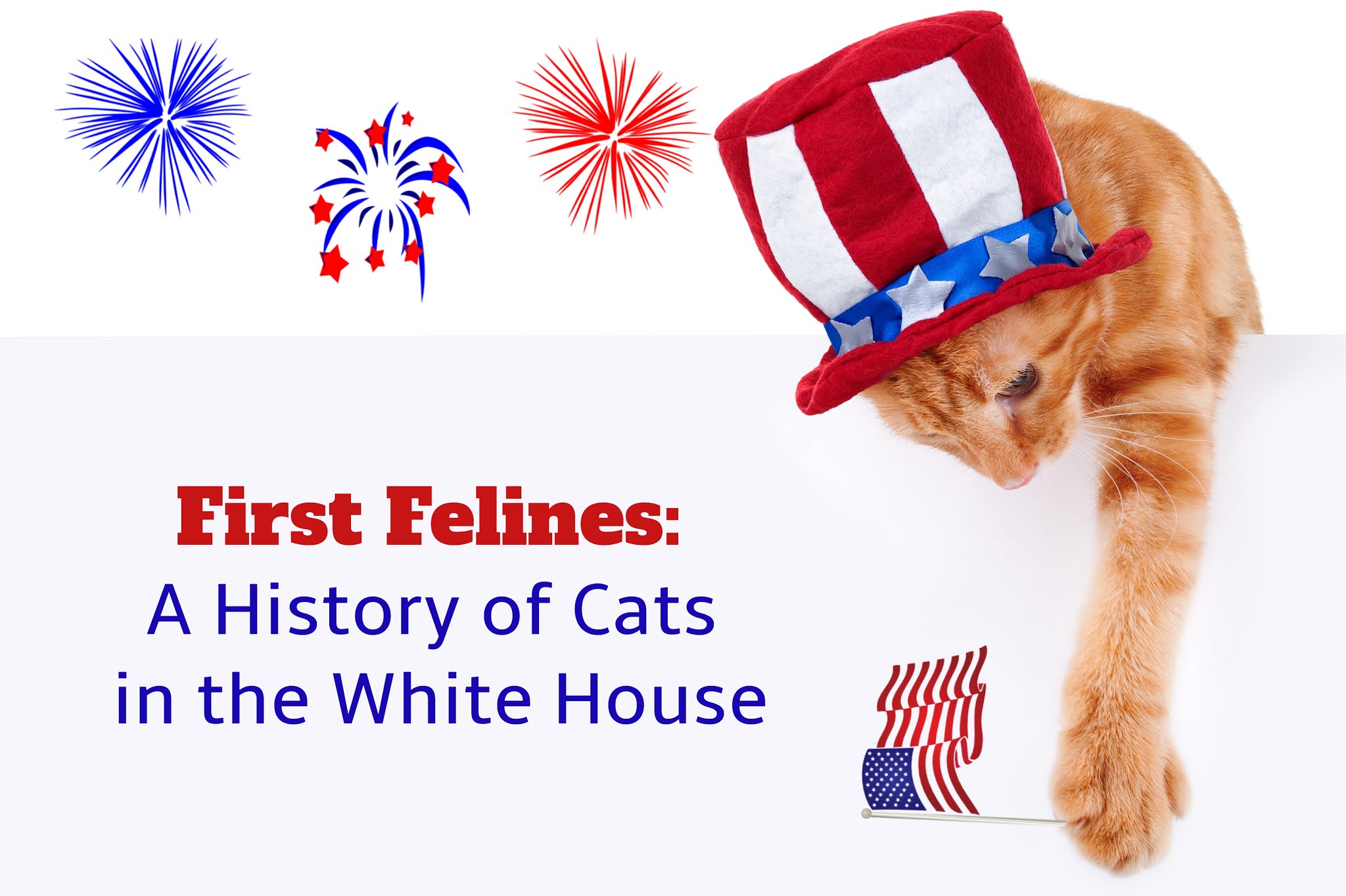 Melissa's Mochas, Mysteries and Meows First Felines A History of Cats
