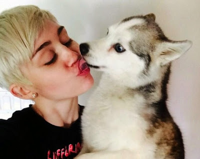 Miley Cyrus kissing dog