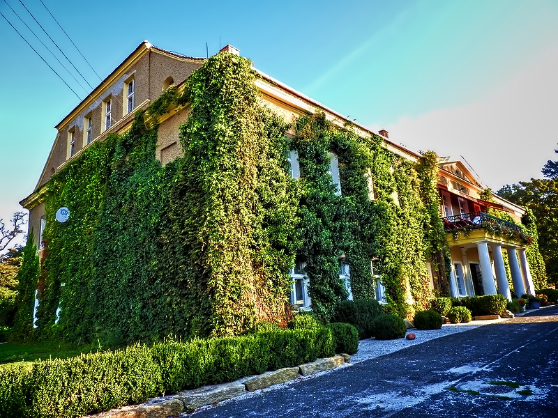 Zamki i palace foto Majka D KRZEPICE