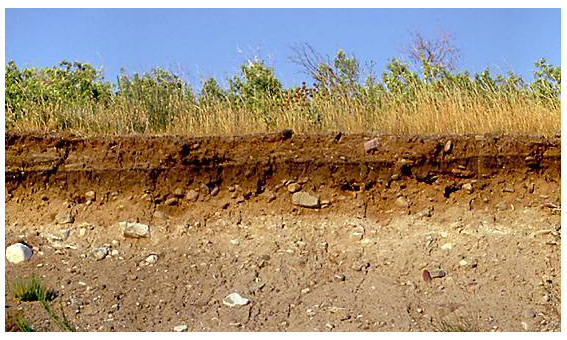Persebaran Jenis Tanah Di Indonesia Studi Ilmu Sosial