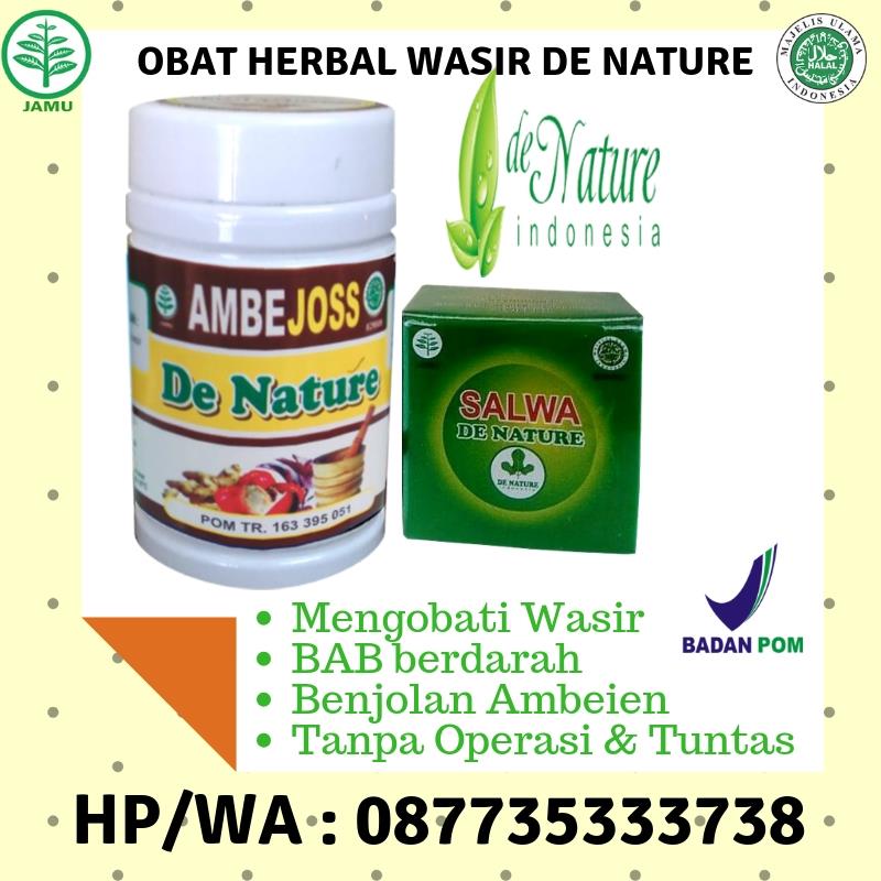 mengapa wasir itu bisa terjadi