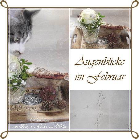 Rikarose Februar 2019