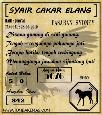 SYAIR SYDNEY 28-06-2019