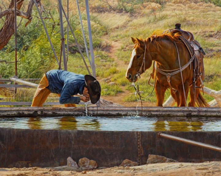 Pinturas de Tim Cox | O Pintor de Cavalos