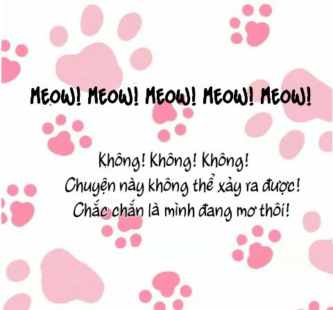 Đọc truyện Thế giới của một chú mèo - Chapter 1