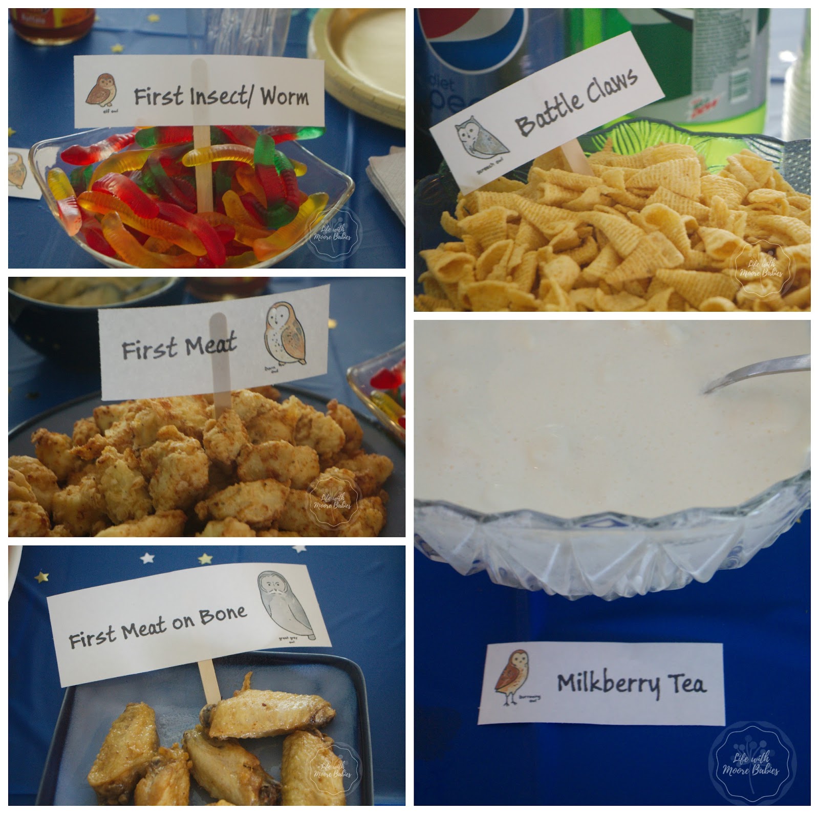 How to Host a Hooting Good Owl Party Life with Moore Babies