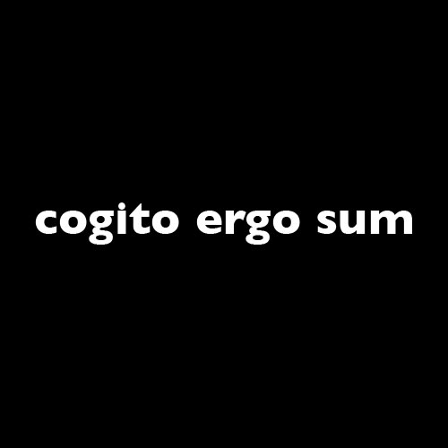 Cogito Ergo Sum Latin 13