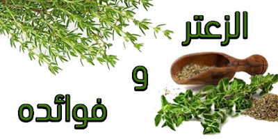 الزعتر و فوائده