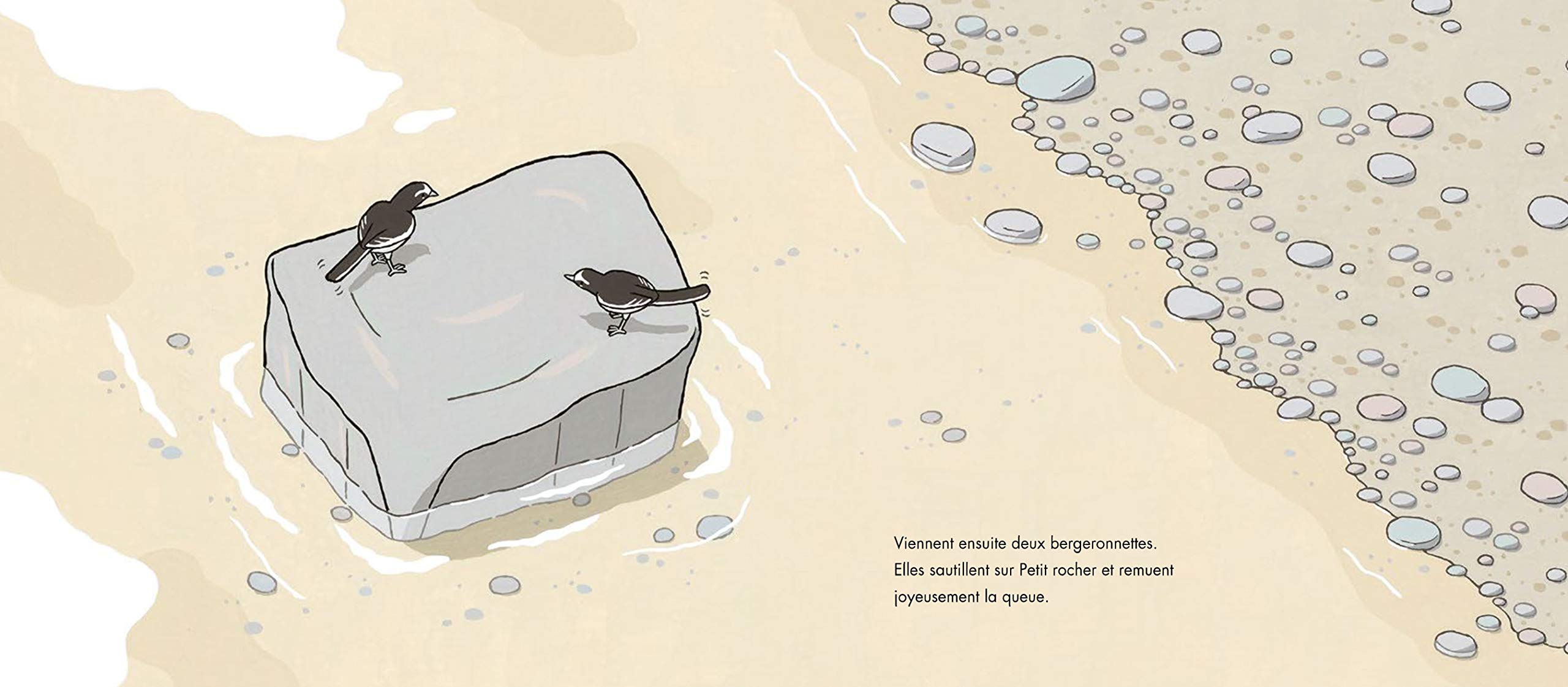 PETIT ROCHER/ YUICHI KASANO