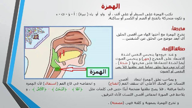 بالصور والفيديو دورة تعليم مخارج الحروف وصفاتها حرف حرف 2