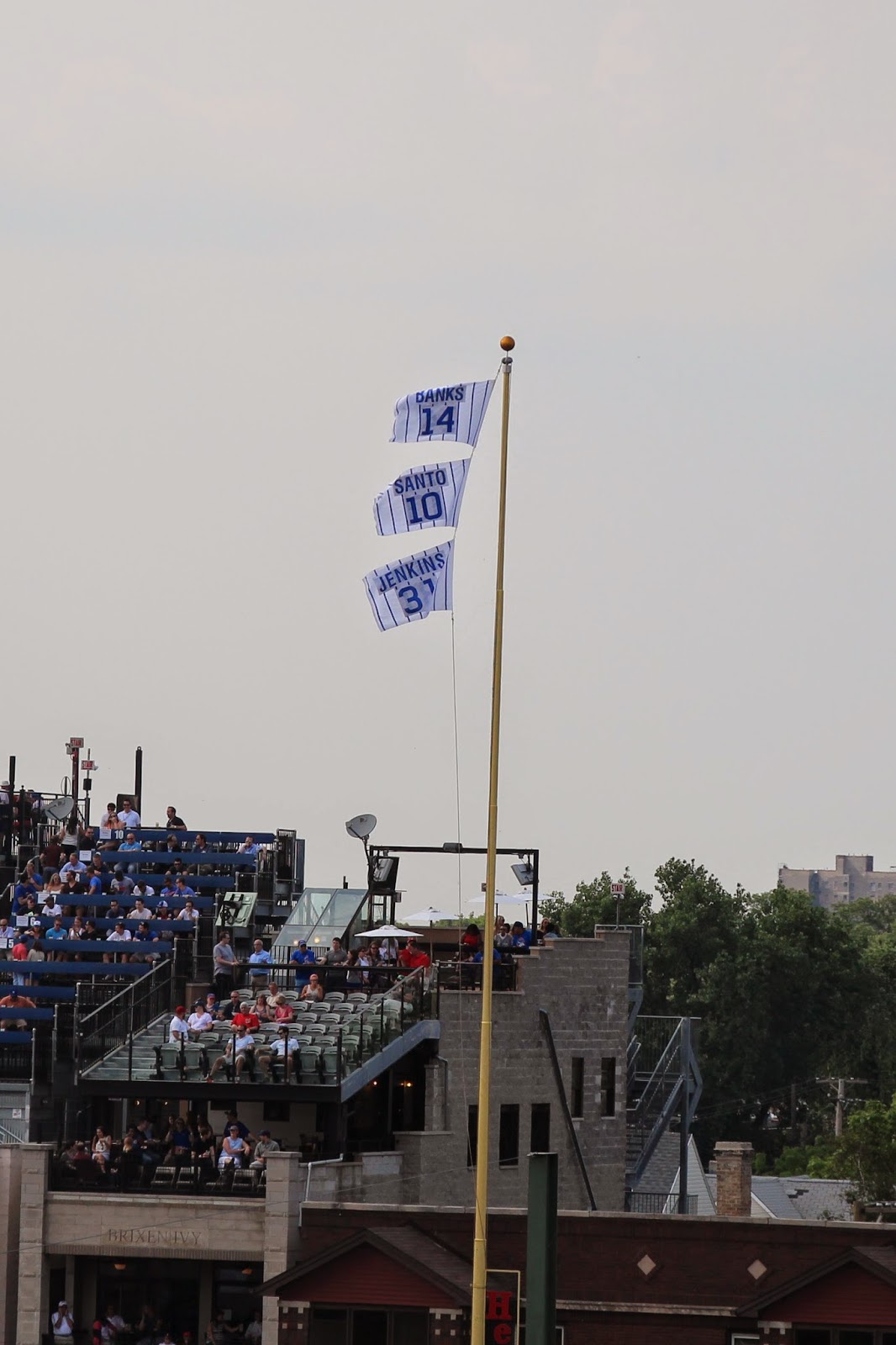 Once a Cub A Day at Wrigley