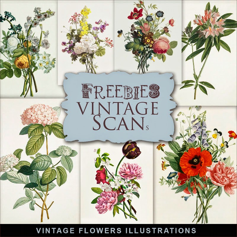 Freebies Vintage Flowers Illustrations:Far Far Hill - Free database of ...