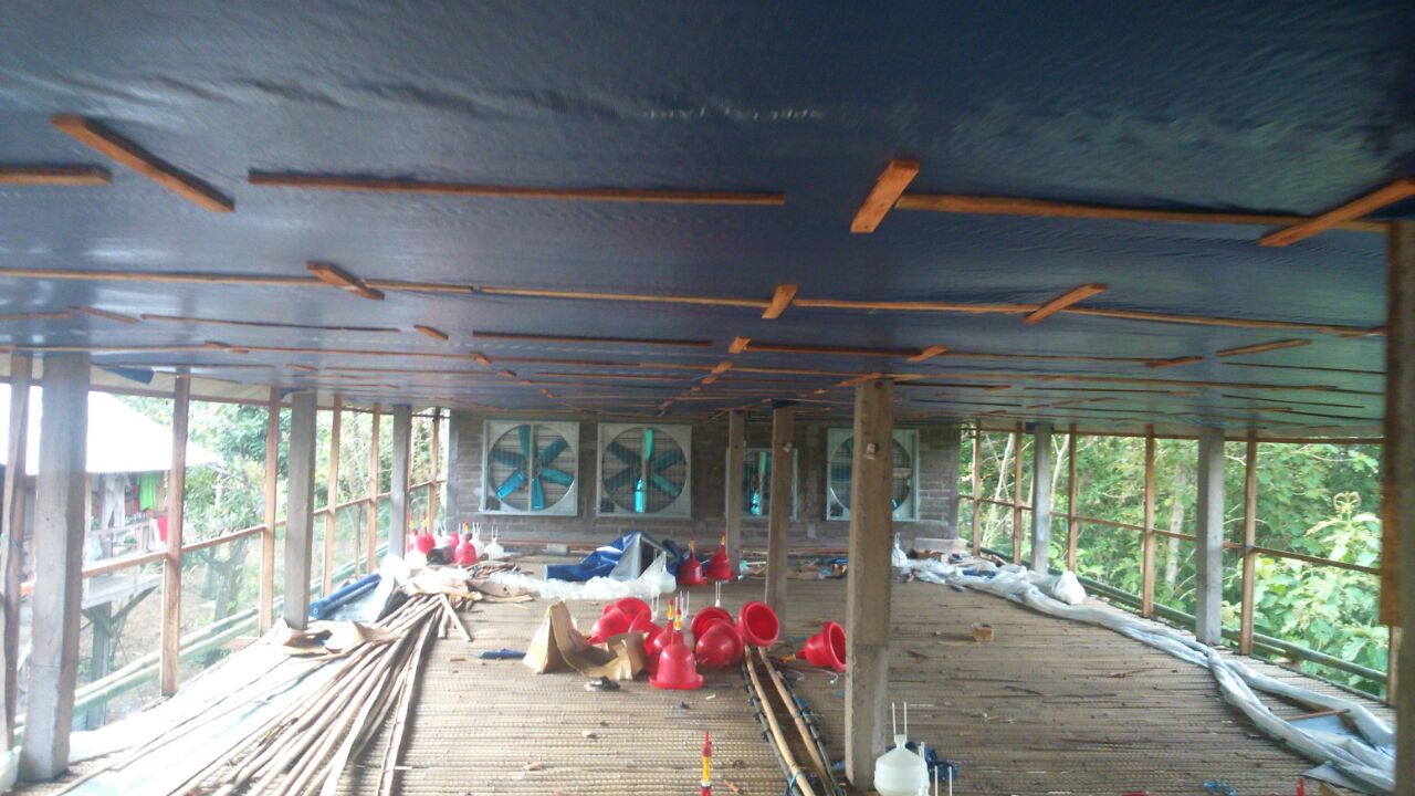 PERALATAN KANDANG AYAM - ALAT KANDANG PETELUR DAN PEDAGING - ALAT