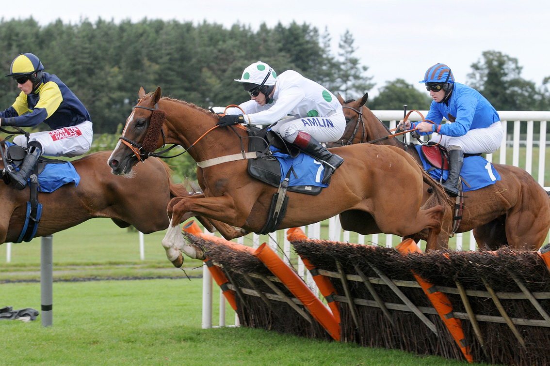 Nigel Fisher's Brigg Blog WHAT BRIGG PEOPLE WILL AT MARKET RASEN RACES
