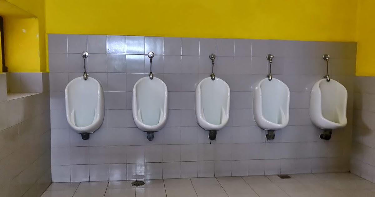 Toilets Nepal Exploring different toilets in public places of Nepal