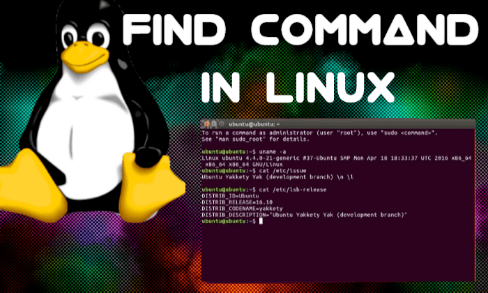 find command in linux