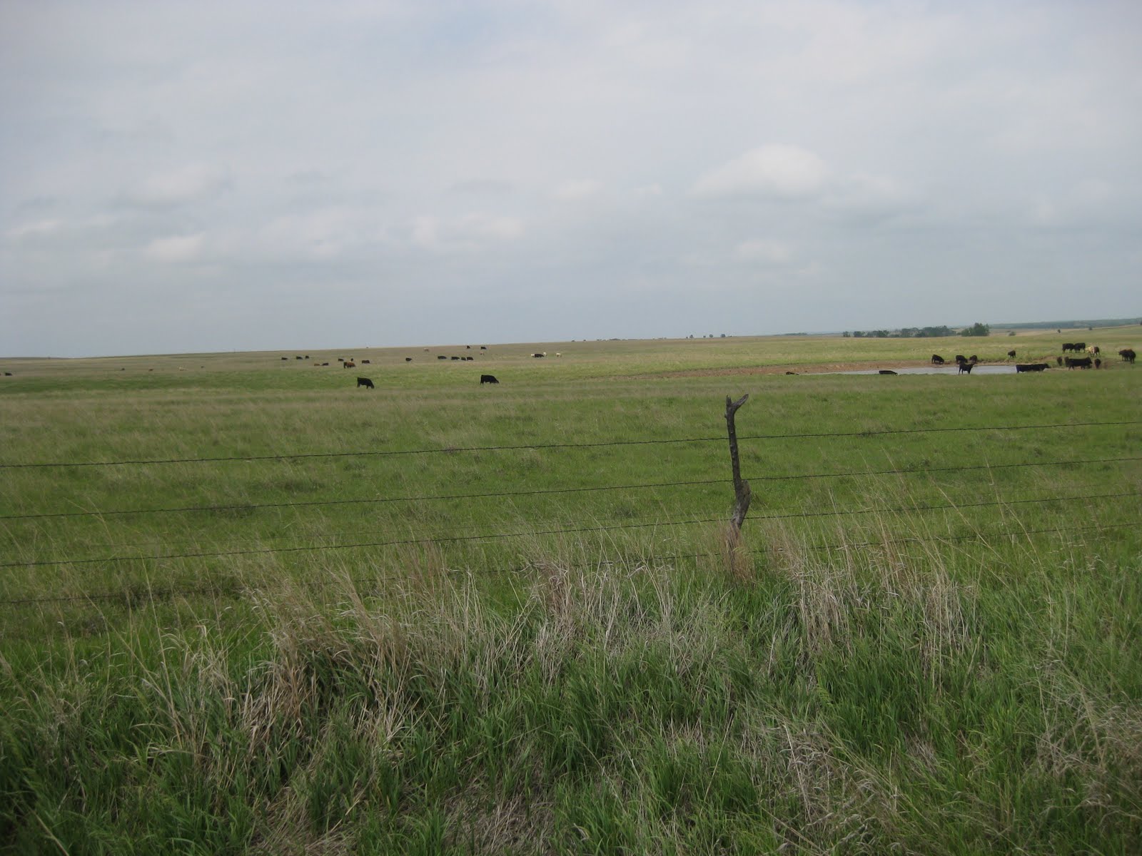 Pen in my Hand The Plains of Kansas