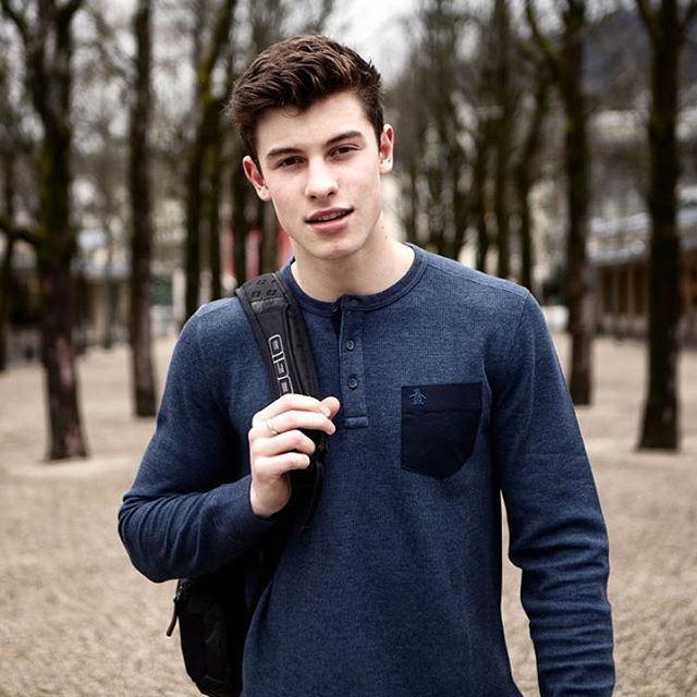 Biodata Shawn Mendes ~ ~About Them~