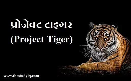 about tiger in hindi language
