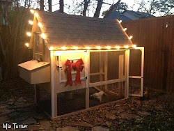 chicken coop christmas cyber holiday lights garden chickens playhouse hottest tour walkway fascinating inspire path mia decoomo