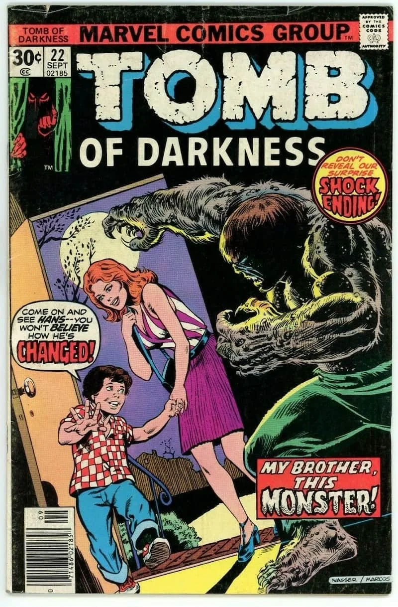 Tomb of Darkness #22, portada de Michael Netzer