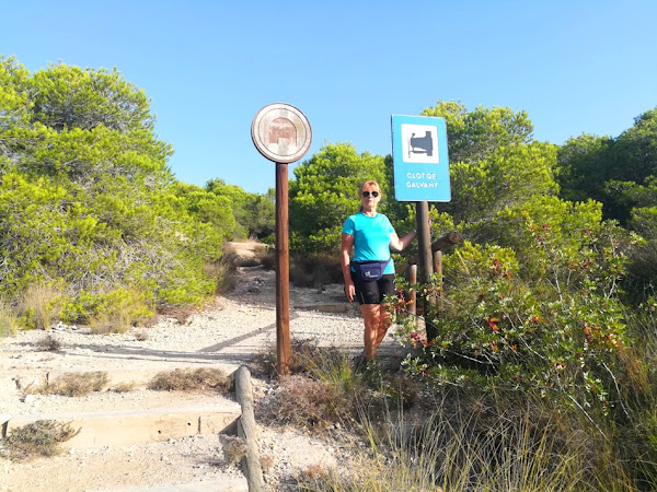 Acceso a mirador