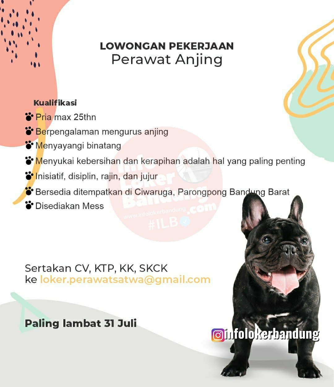 Lowongan Kerja Perawat Anjing Bandung Juli 2021