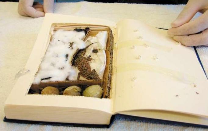 Caim Animal Rescue Network: Inside The Exotic Animal Trade