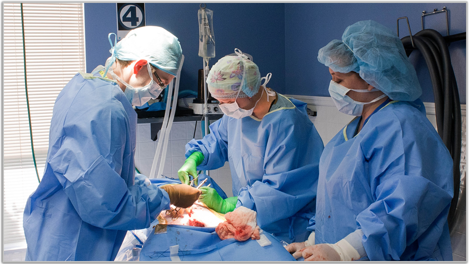 Surgeon's Assistant Surgical Assisting Assistant Information Center