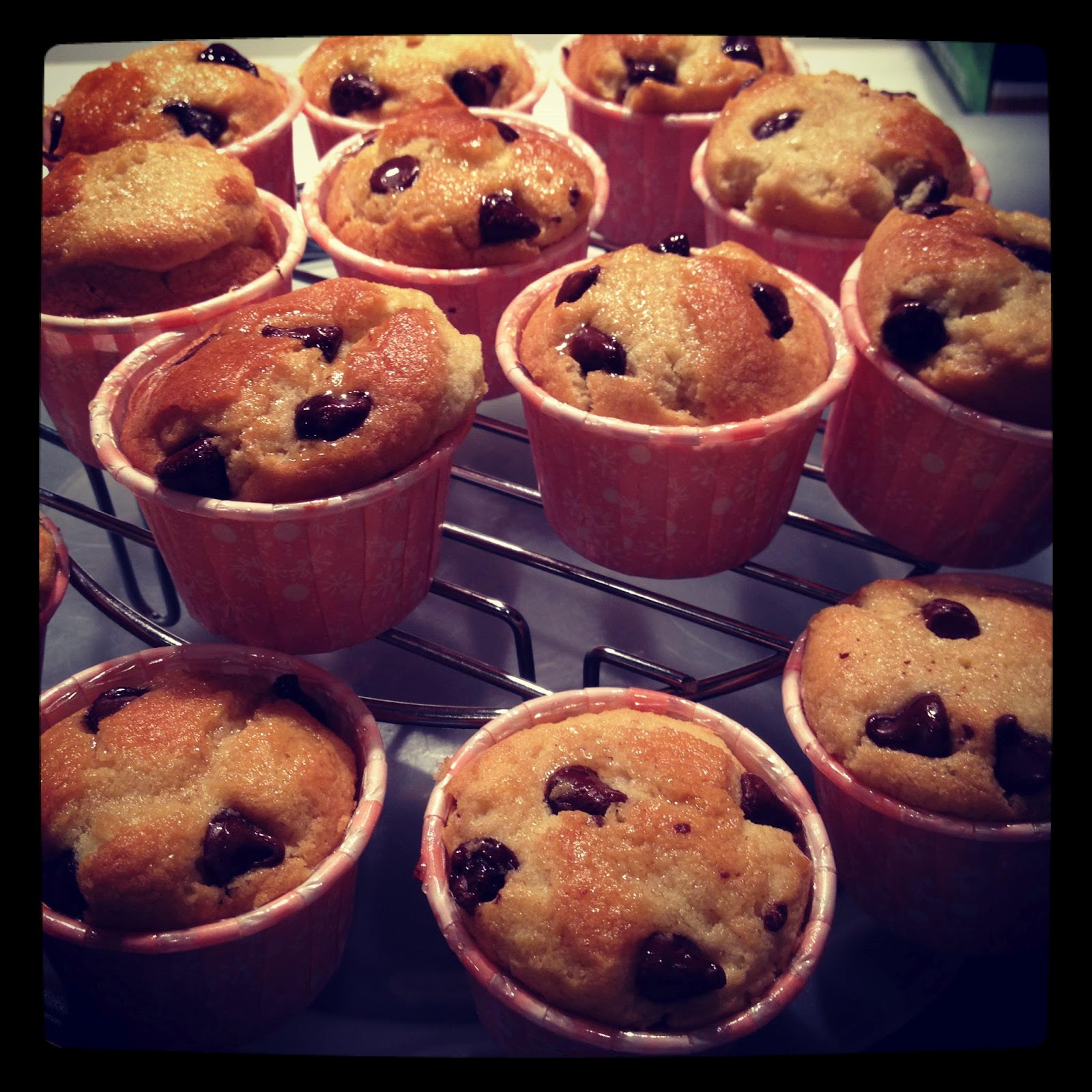 The Mae's Dessert Homemade Chocolate Chips Cupcakes