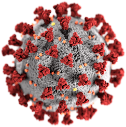 فيروس كورونا