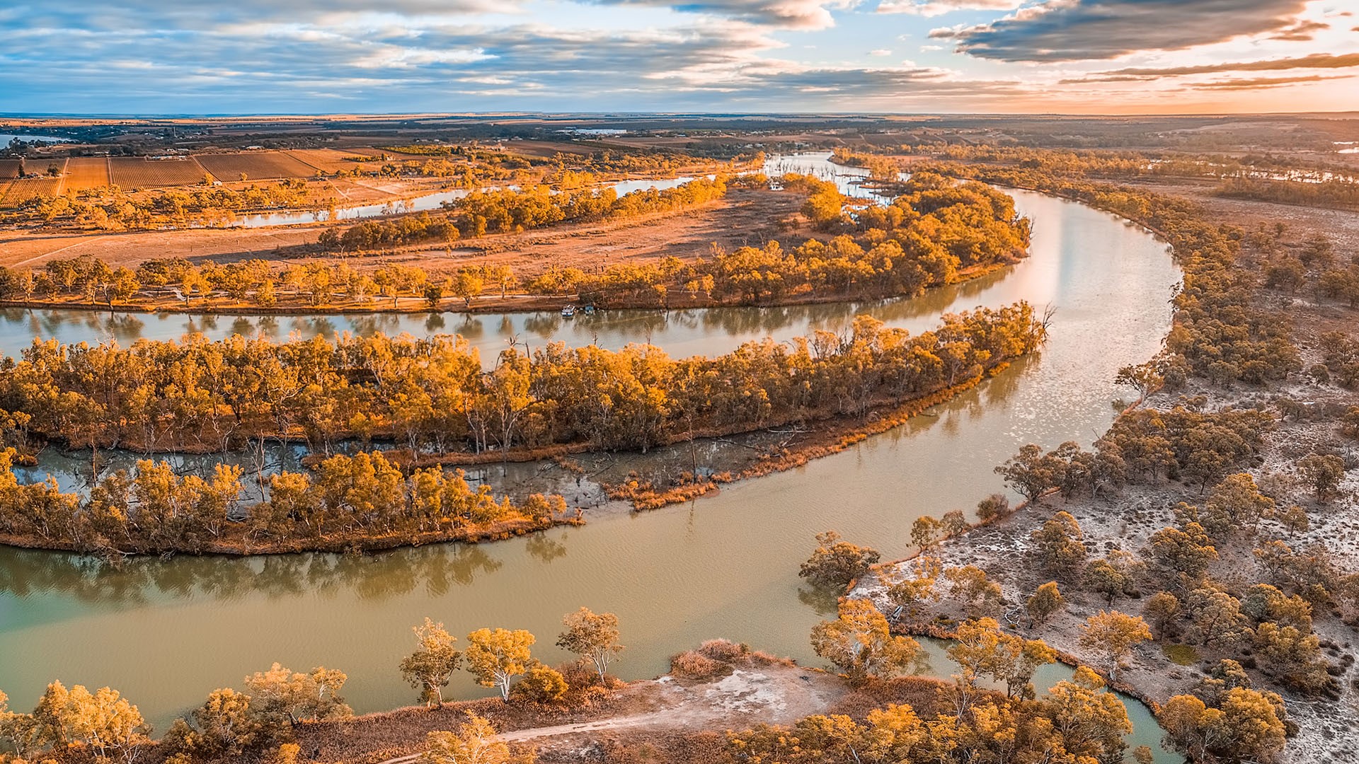 Murray River Australia 6