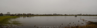 Naturfotografie Panorama Naturschutzgebiet Disselmersch Nikon
