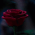 Mini Reseña: Beauty & The Beast (2017)