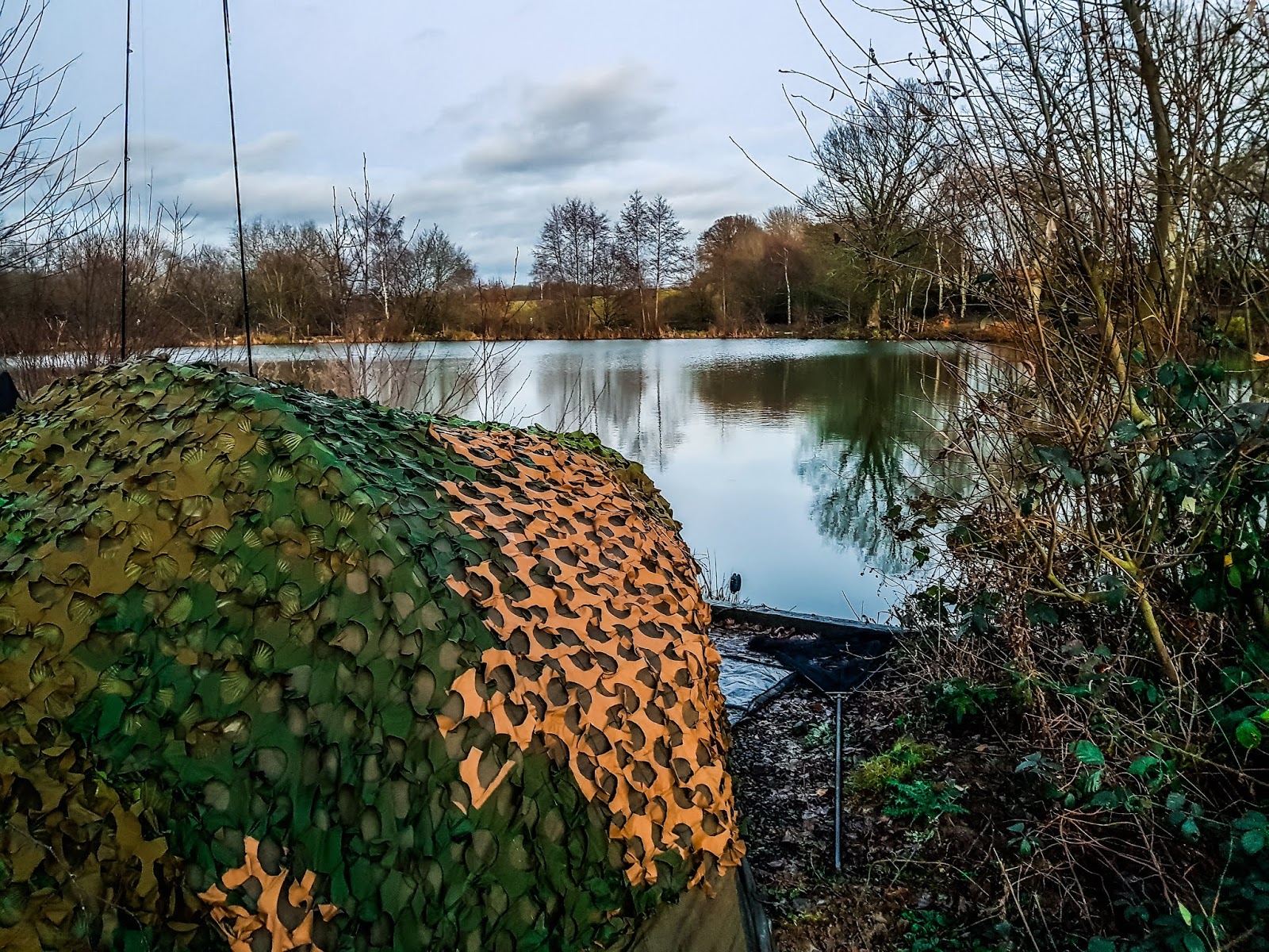 Weather paddock wood