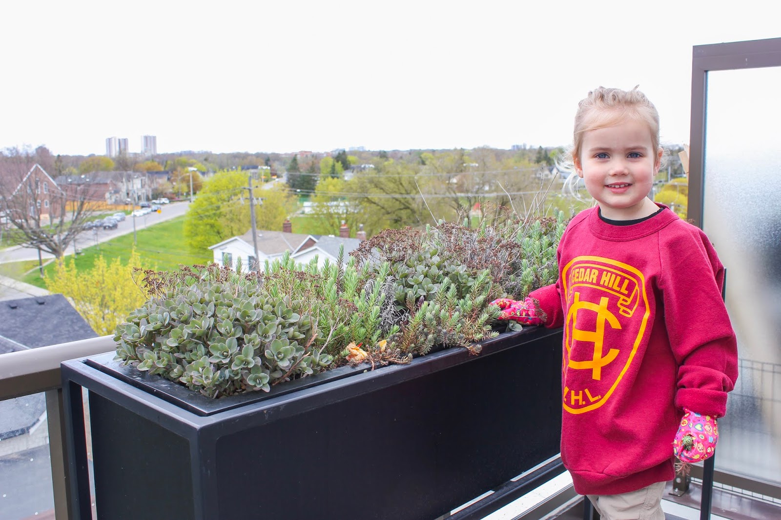Urban Gardening - Creating a Condo Container Herb & Vegetable Garden
