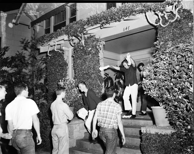 Sweet Vintage Designs Raid My Panties. A Brief Look in the Craze of