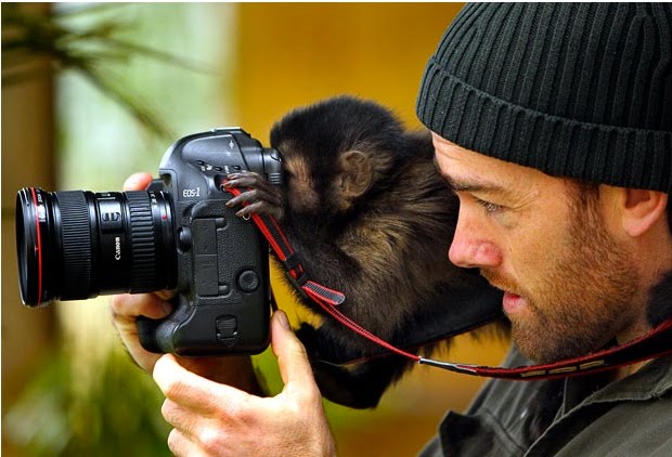 Monkeysee Camera PSA: Make it a habit to periodically check your settings. : r/photography