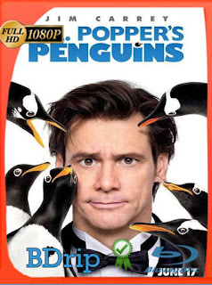 Los pingüinos del Sr. Poper (2011) BDRIP 1080p Latino [GoogleDrive] SXGO