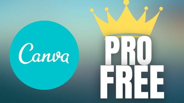 canva pro cost canva pro cost
