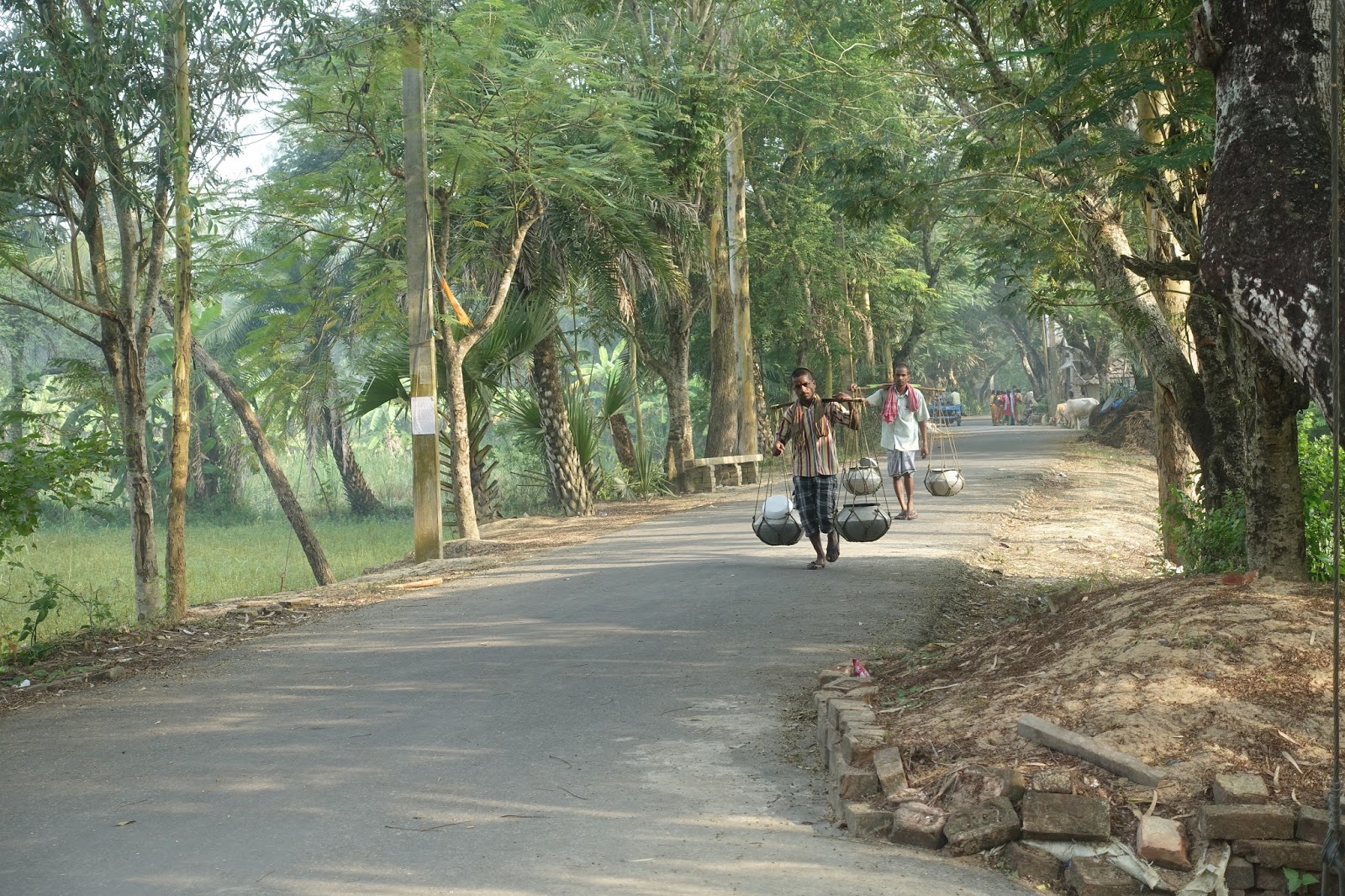 Sundarban Tourism