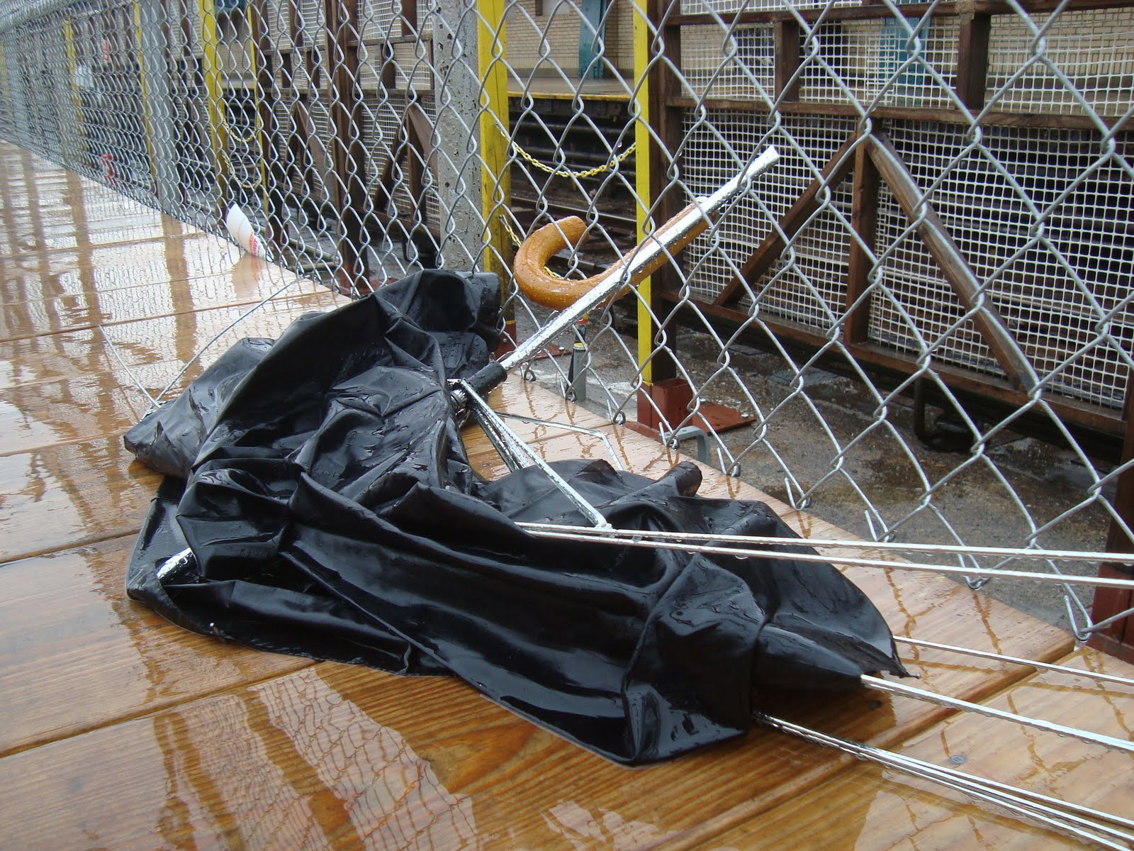 NYE 365 Broken umbrella