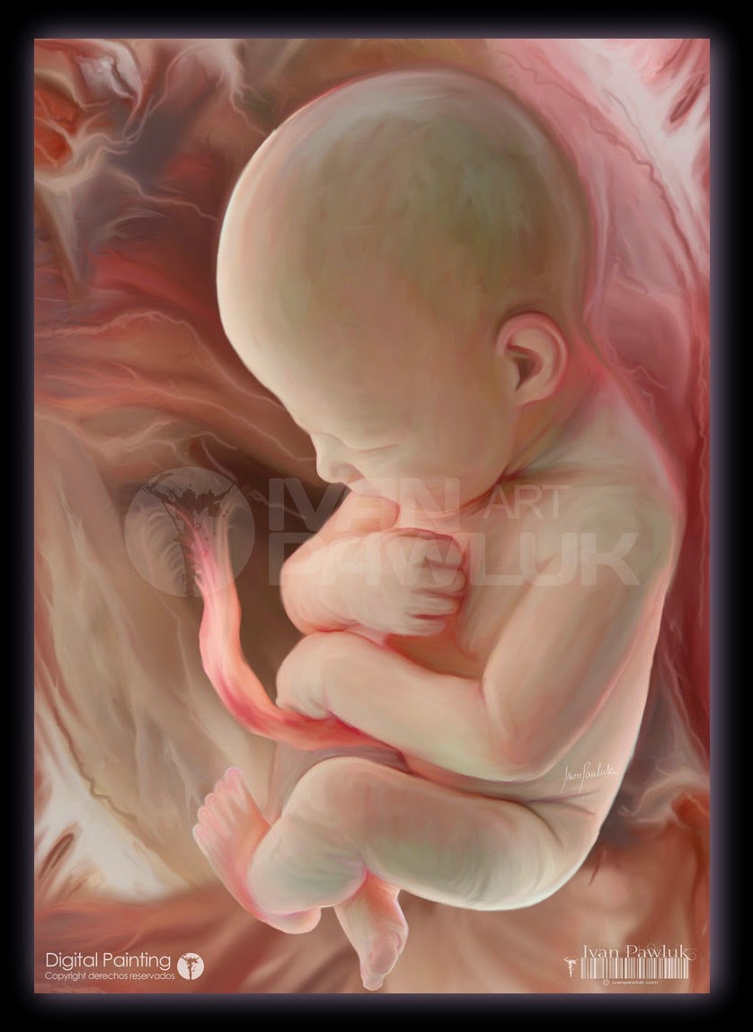 EL MUNDO DE UNA MAMÁ LOS MOVIMIENTOS DEL BEBE EN EL VIENTRE MATERNO EL MUNDO DE UNA MAMÁ LOS MOVIMIENTOS DEL BEBE EN EL VIENTRE MATERNO